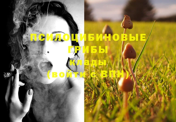ECSTASY Гусев