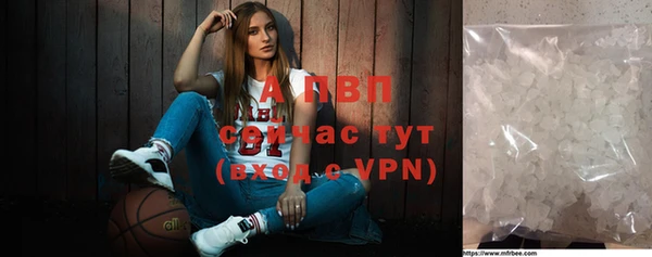 ECSTASY Гусев