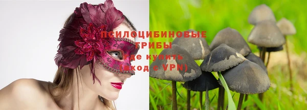 ECSTASY Гусев