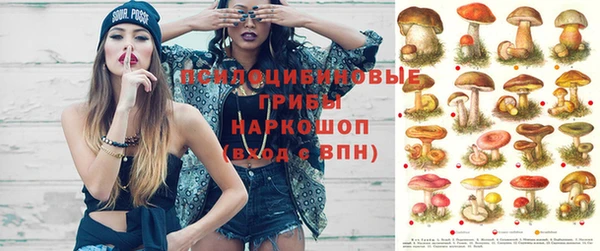 молекула духа Гусь-Хрустальный