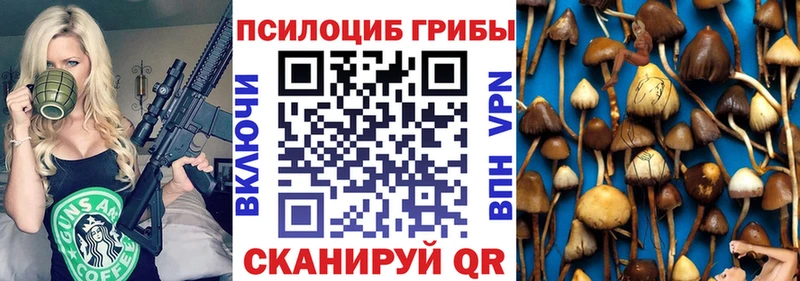 Псилоцибиновые грибы Cubensis Ярцево
